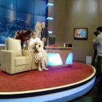 Zied gharsa sur yala.fm